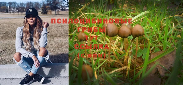 винт Бородино
