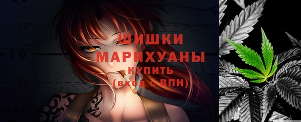 шишки Бронницы