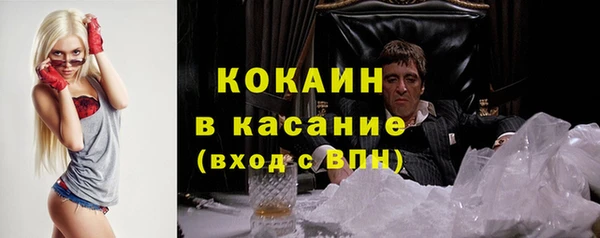 шишки Бронницы