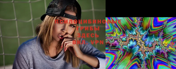 винт Бородино